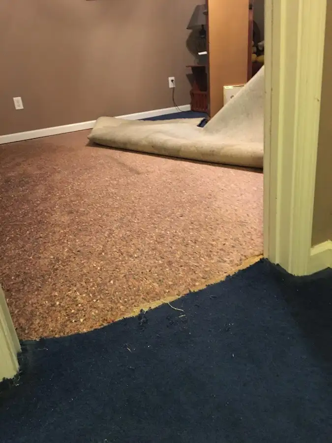 Carpet pad removal revealing water damage during Water Mitigation Services in East Grand Forks