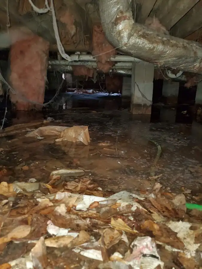 Crawl space flood assessment for Leak Detection & Repair in East Grand Forks